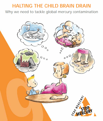 Health and Environment Alliance | Halting the child brain drain: Why we  need to tackle global mercury contamination
