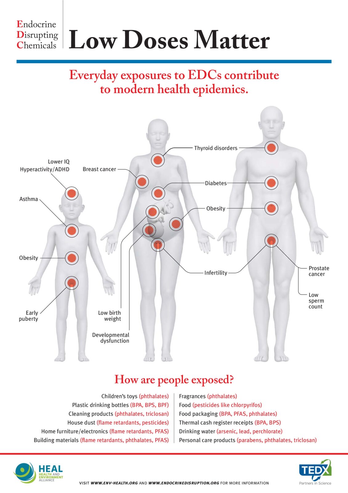 Infographic – Low Doses Matter