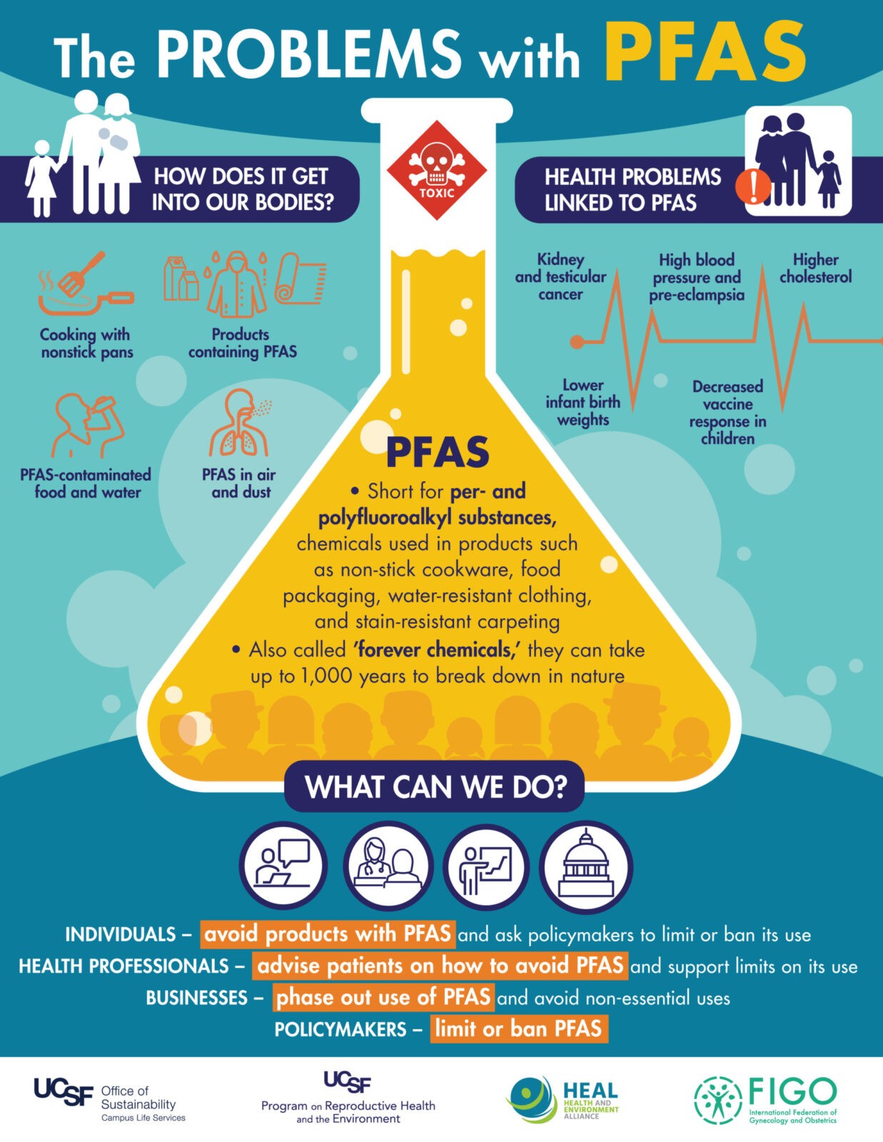 Health and Environment Alliance | How PFAS chemicals affect women, pregnancy and human development: Health actors call for urgent action to phase them out