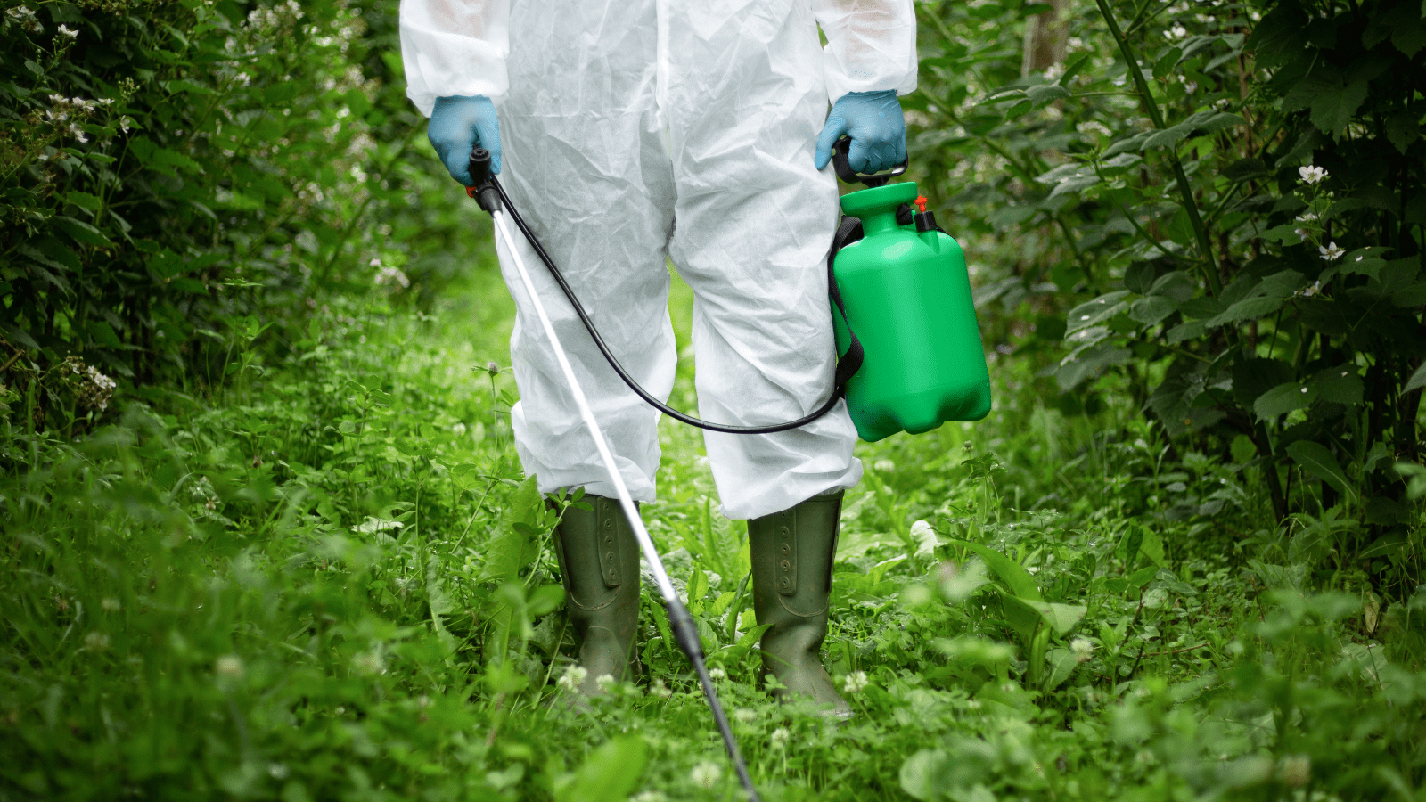 HEAL’s response to the public consultation on the EU Pesticide Reduction Law proposal