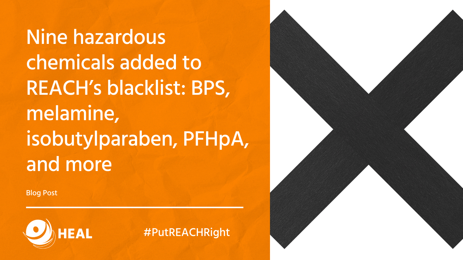 Nine hazardous chemicals added to REACH’s blacklist: BPS, melamine, isobutylparaben, PFHpA, and more