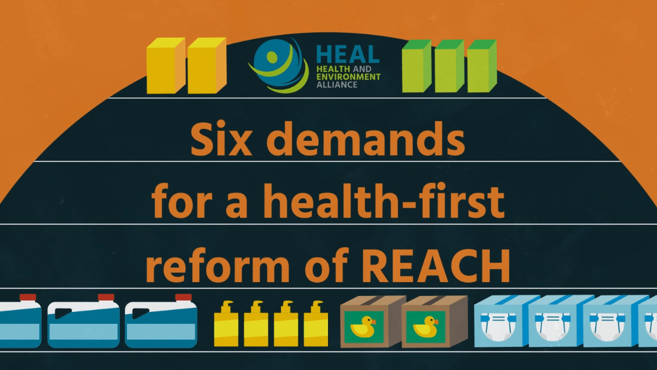 Video: HEAL’s six demands for a health-first reform of REACH