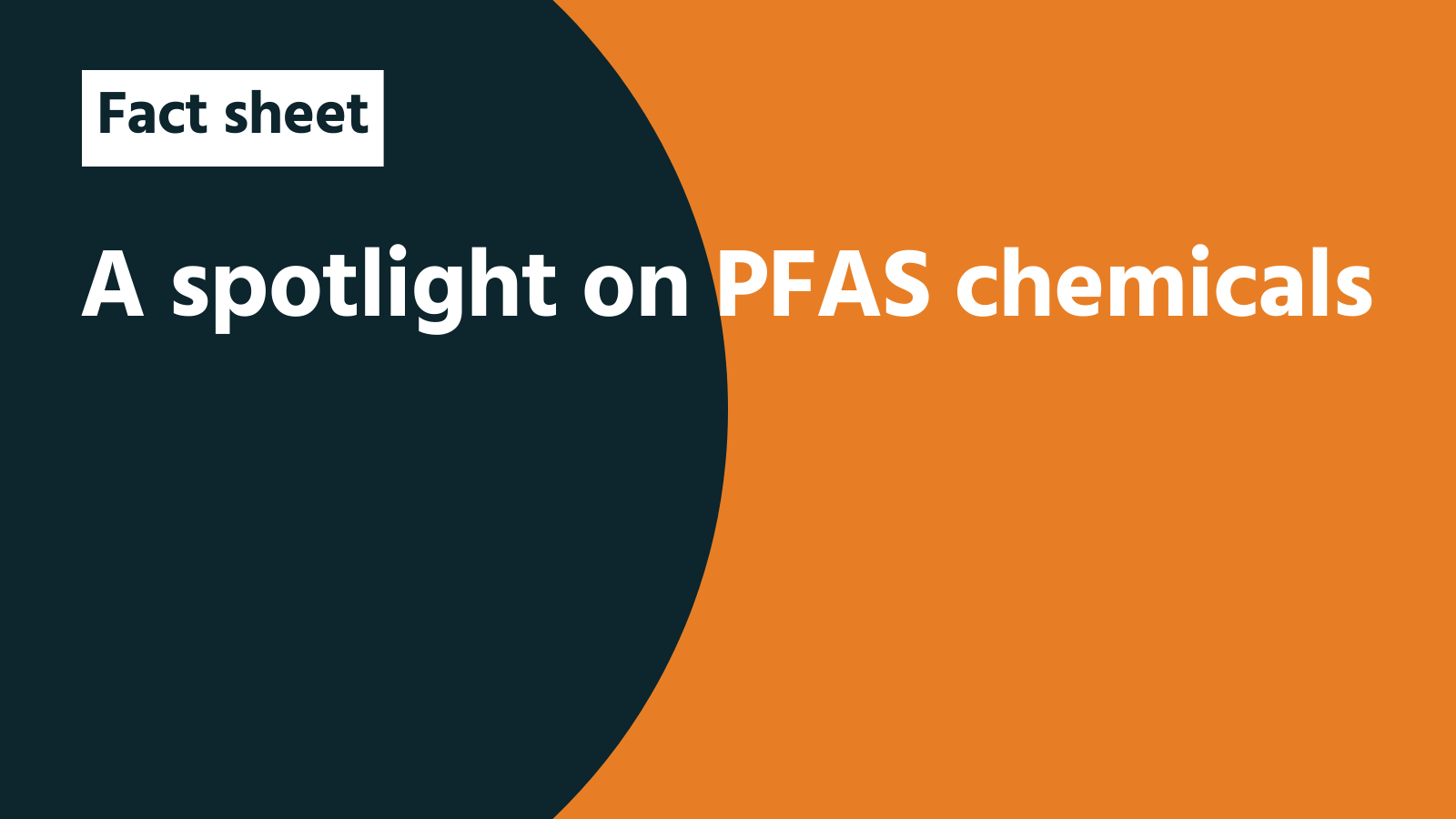 Fact sheet: A spotlight on PFAS chemicals