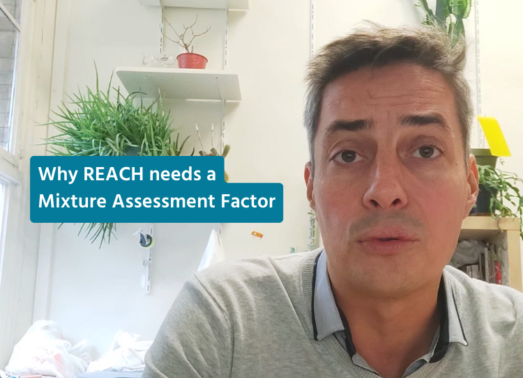Why REACH needs a mixture assessment factor